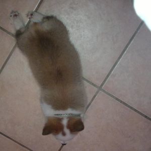 Meet your Posher, Sandy